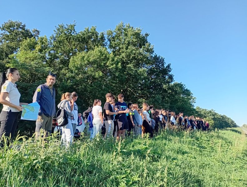 Buletin informativ, trimestrul III 2025