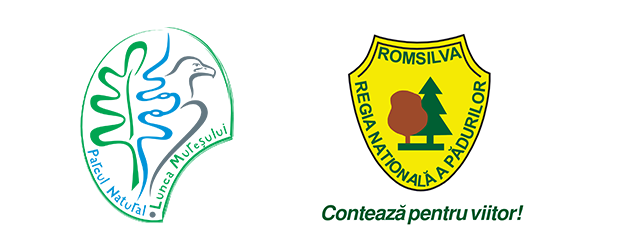 Parcul Natural Lunca Mureșului