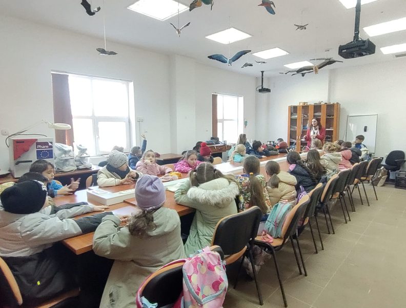 Buletin informativ, trimestrul I 2025