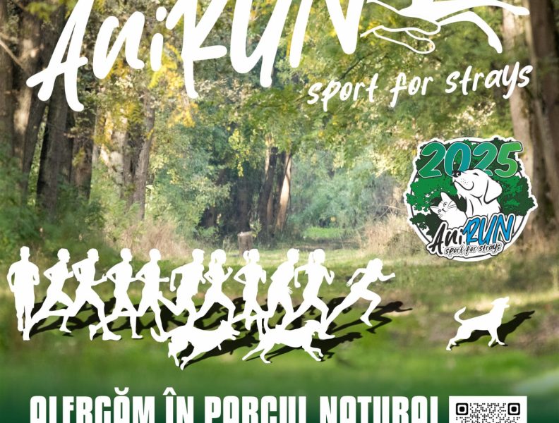 Cursele AniRUN 01.06.2025