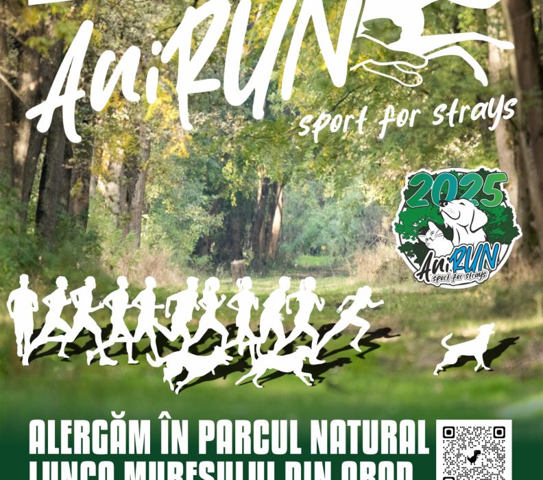 Cursele AniRUN 01.06.2025