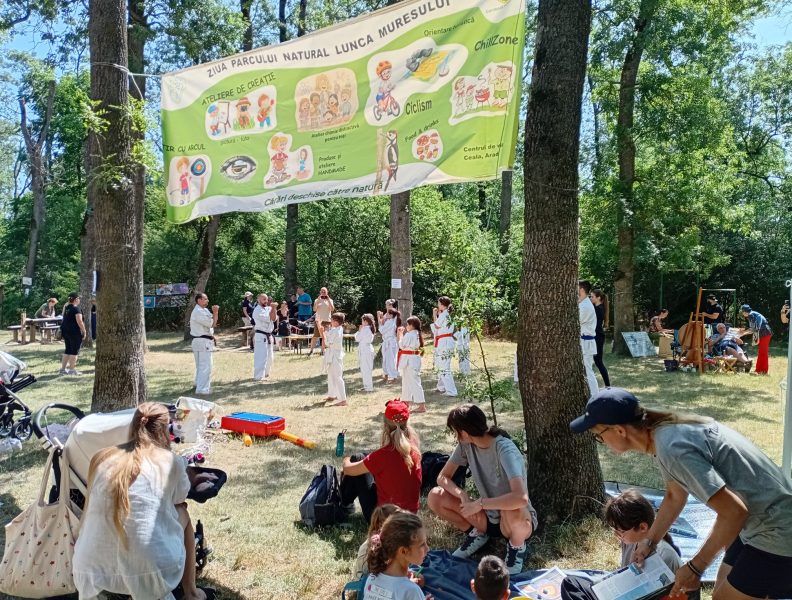 Buletin informativ, trimestrul II 2025