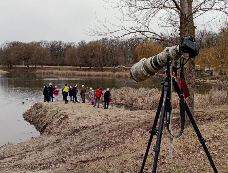 Buletin informativ trimestrul I – 2026